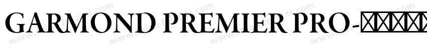 GARMOND PREMIER PRO字体转换